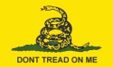 Don't Tread On Me flag